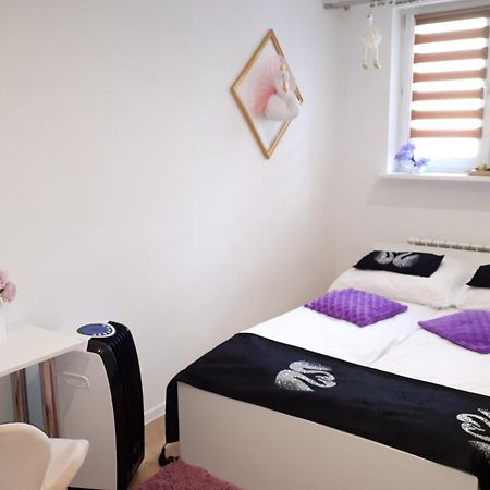 Apartamenty Centrum Panoramiczna Mala Dwojka Swan Labedz Promenada Klimatyzacja Lodowa Kielce Buitenkant foto