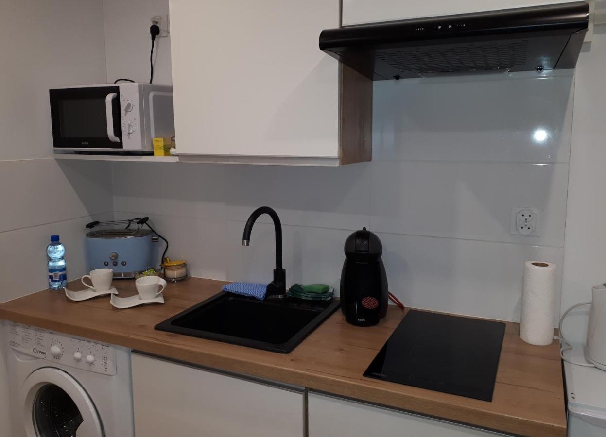 Apartamenty Centrum Panoramiczna Mala Dwojka Swan Labedz Promenada Klimatyzacja Lodowa Kielce Buitenkant foto