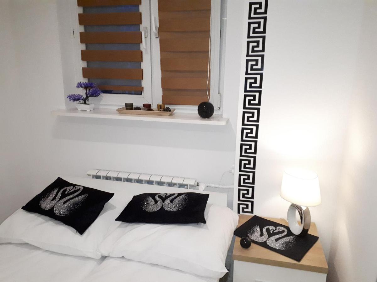 Apartamenty Centrum Panoramiczna Mala Dwojka Swan Labedz Promenada Klimatyzacja Lodowa Kielce Buitenkant foto
