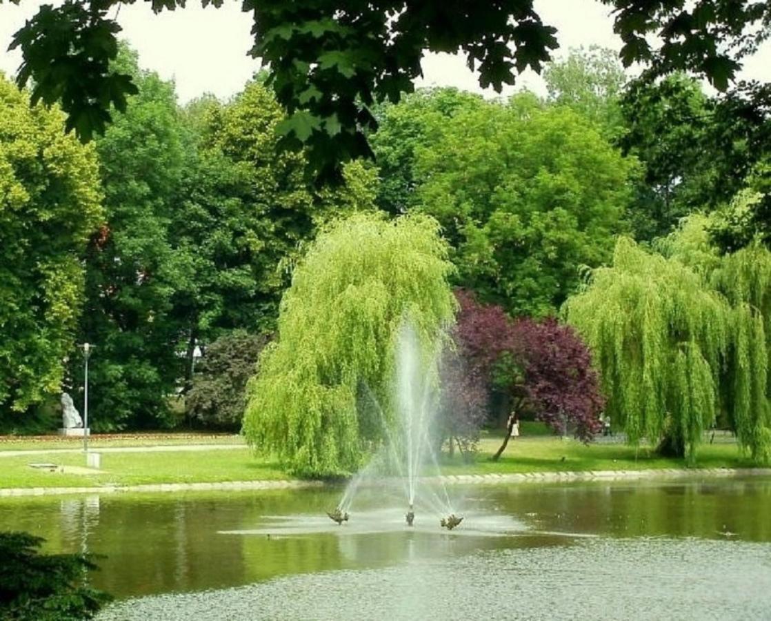 Apartamenty Centrum Panoramiczna Mala Dwojka Swan Labedz Promenada Klimatyzacja Lodowa Kielce Buitenkant foto
