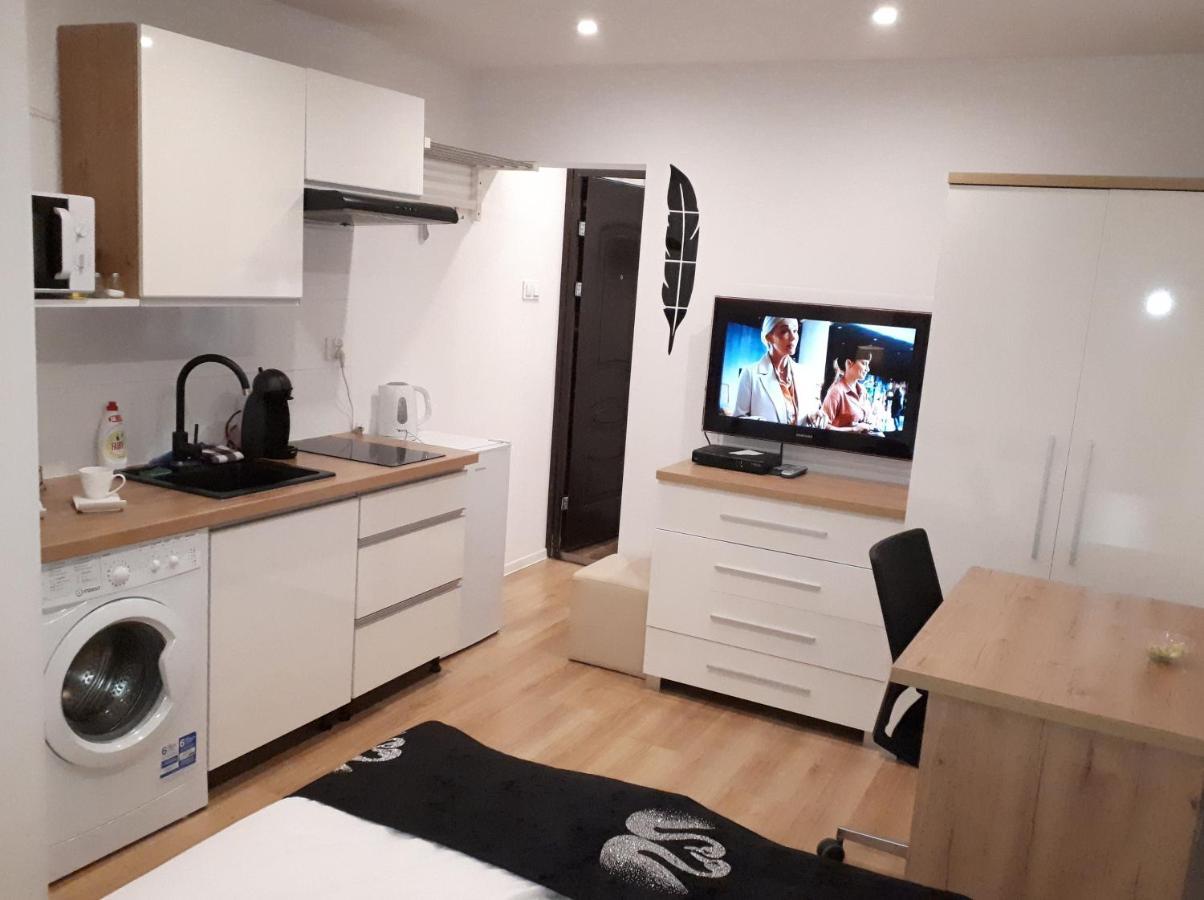 Apartamenty Centrum Panoramiczna Mala Dwojka Swan Labedz Promenada Klimatyzacja Lodowa Kielce Buitenkant foto
