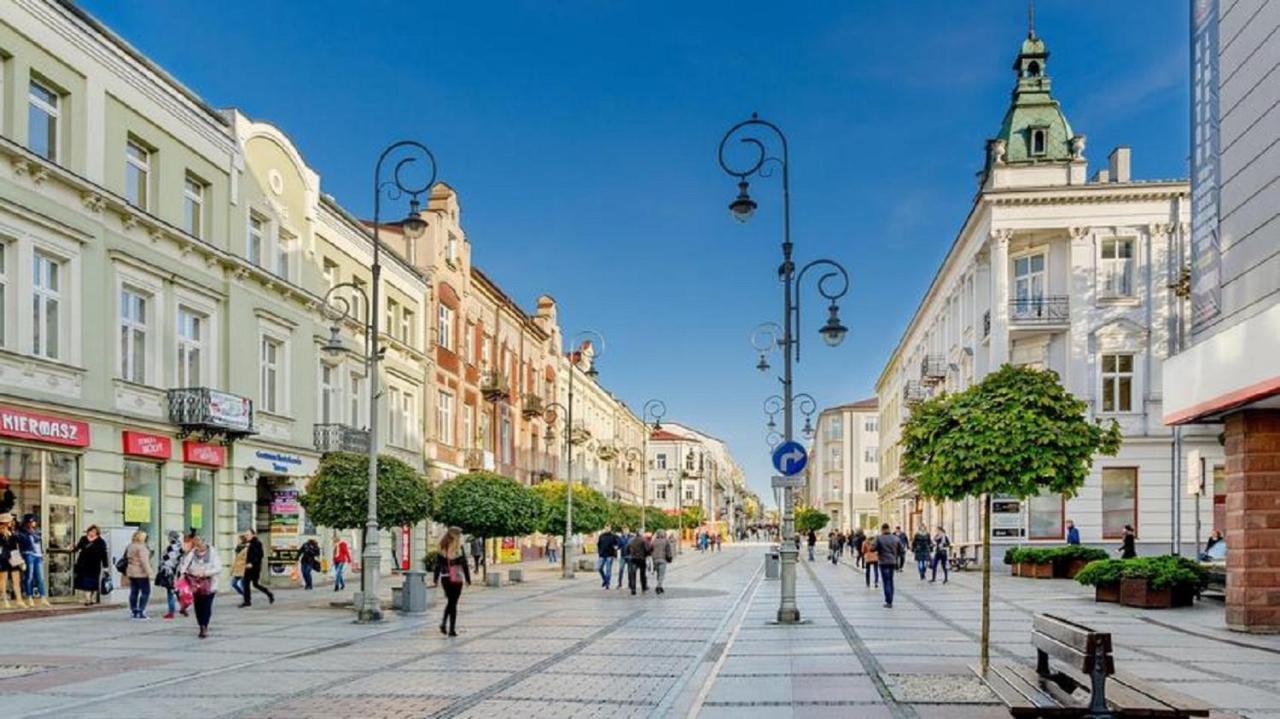 Apartamenty Centrum Panoramiczna Mala Dwojka Swan Labedz Promenada Klimatyzacja Lodowa Kielce Buitenkant foto