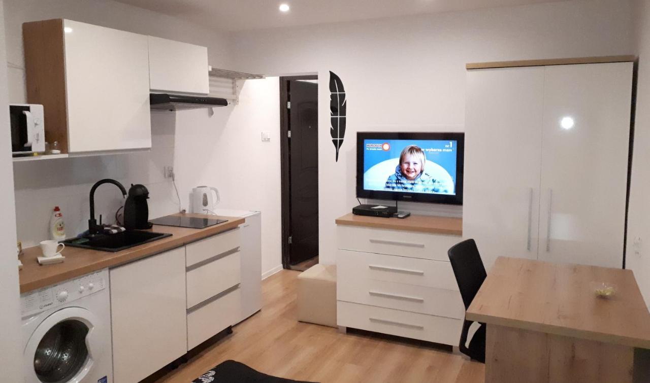 Apartamenty Centrum Panoramiczna Mala Dwojka Swan Labedz Promenada Klimatyzacja Lodowa Kielce Buitenkant foto