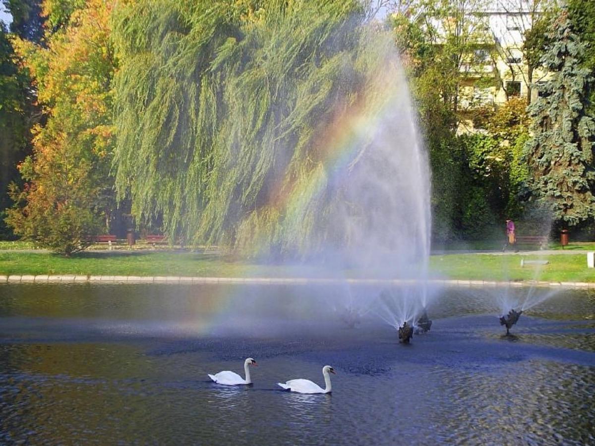 Apartamenty Centrum Panoramiczna Mala Dwojka Swan Labedz Promenada Klimatyzacja Lodowa Kielce Buitenkant foto