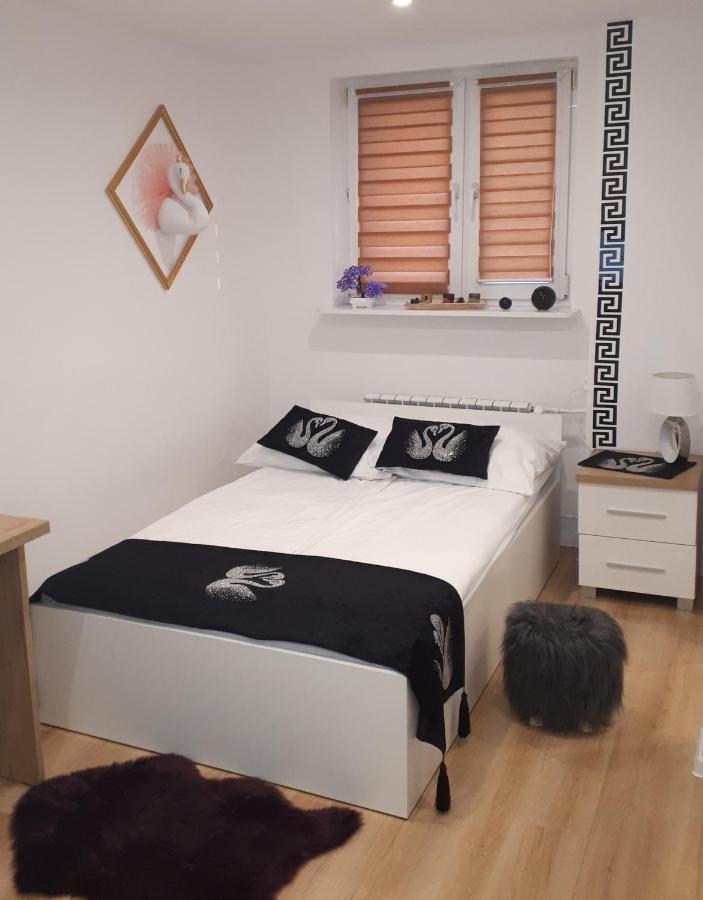 Apartamenty Centrum Panoramiczna Mala Dwojka Swan Labedz Promenada Klimatyzacja Lodowa Kielce Buitenkant foto
