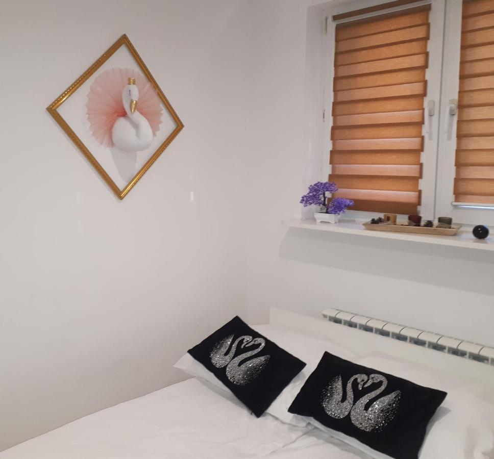 Apartamenty Centrum Panoramiczna Mala Dwojka Swan Labedz Promenada Klimatyzacja Lodowa Kielce Buitenkant foto