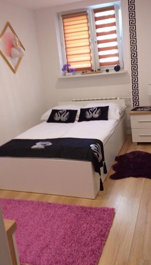 Apartamenty Centrum Panoramiczna Mala Dwojka Swan Labedz Promenada Klimatyzacja Lodowa Kielce Buitenkant foto