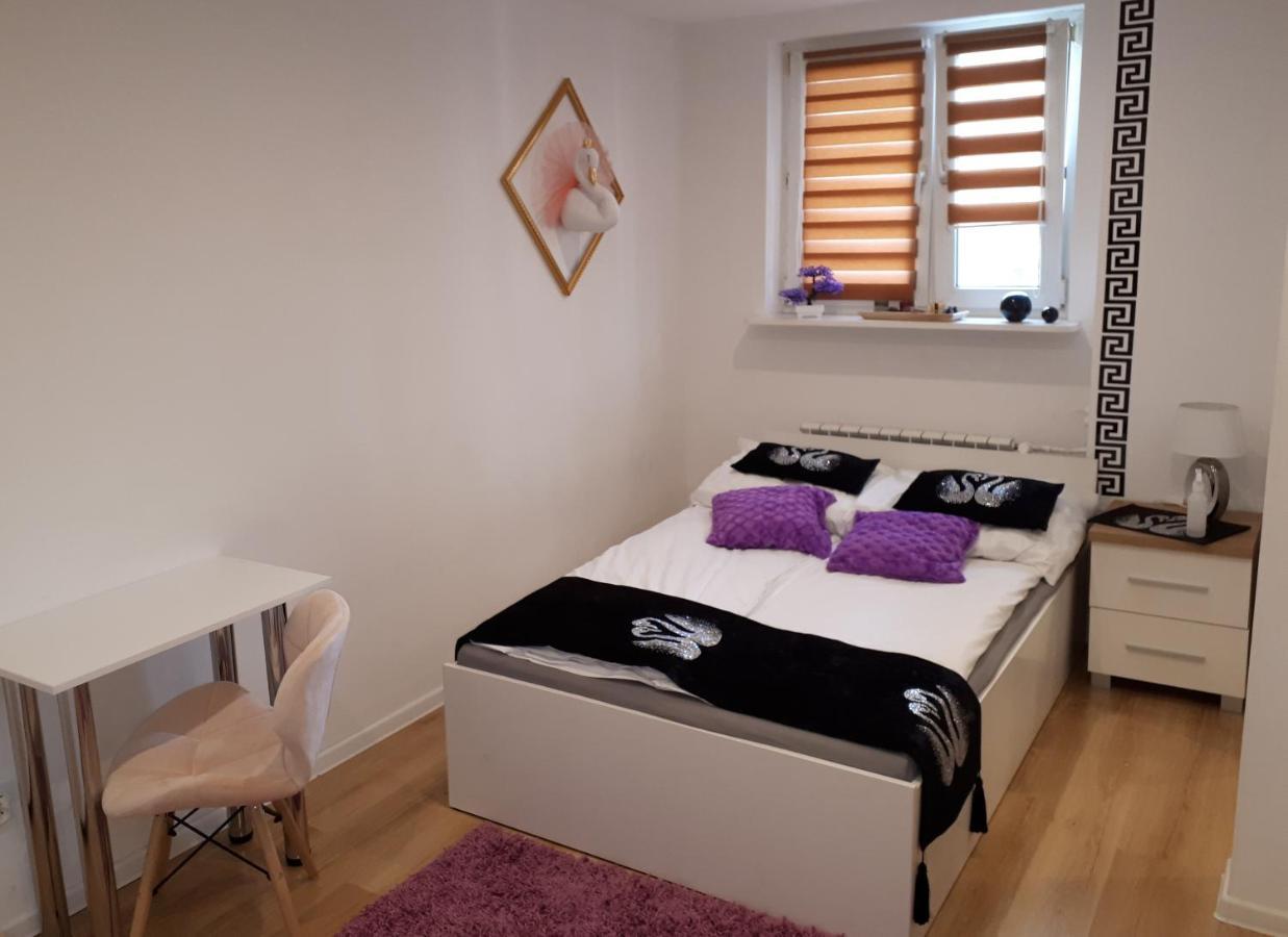 Apartamenty Centrum Panoramiczna Mala Dwojka Swan Labedz Promenada Klimatyzacja Lodowa Kielce Buitenkant foto