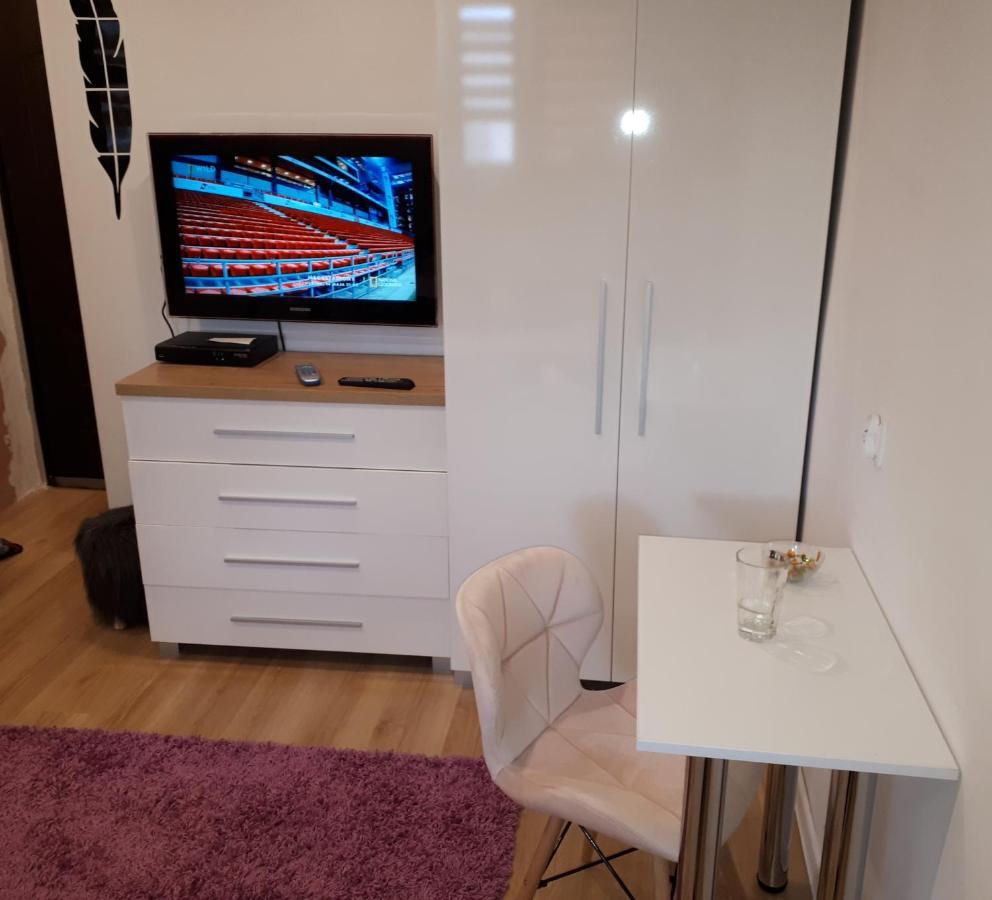 Apartamenty Centrum Panoramiczna Mala Dwojka Swan Labedz Promenada Klimatyzacja Lodowa Kielce Buitenkant foto