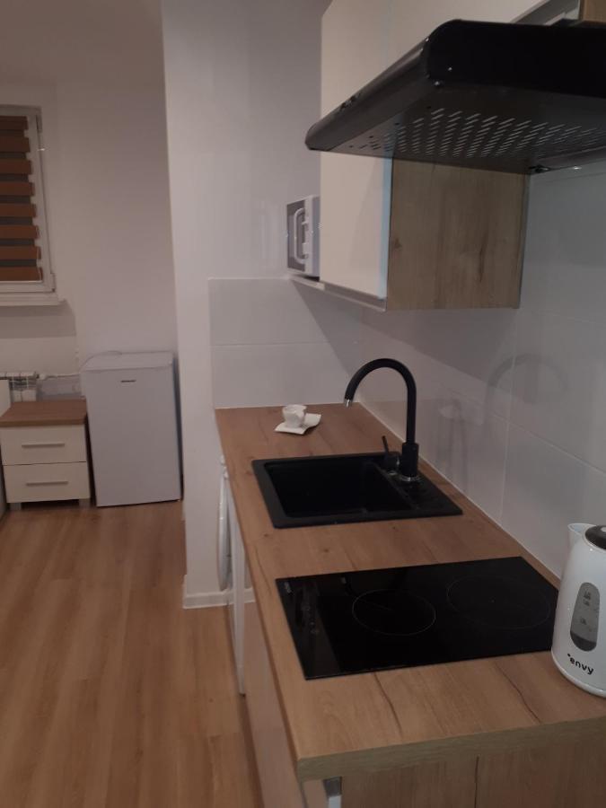 Apartamenty Centrum Panoramiczna Mala Dwojka Swan Labedz Promenada Klimatyzacja Lodowa Kielce Buitenkant foto